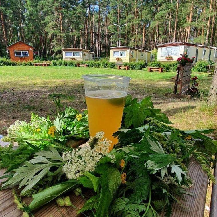Chill&Grill Camping Daugavpils Eksteriør billede