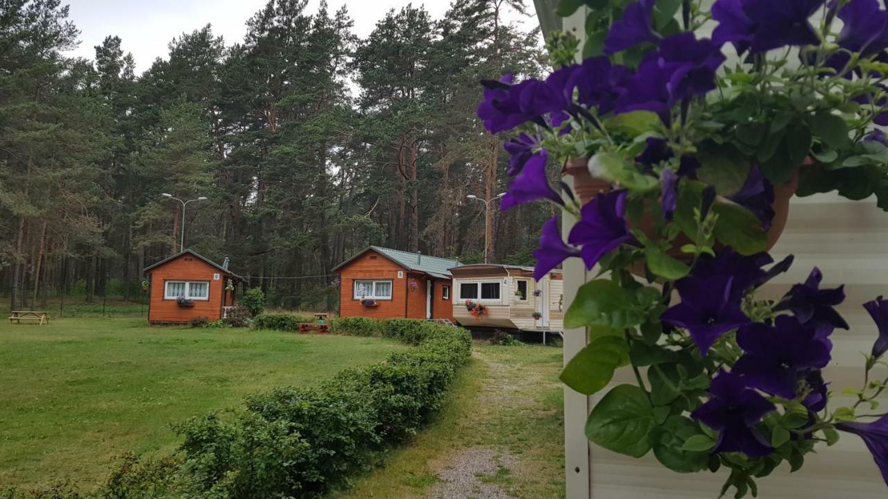 Chill&Grill Camping Daugavpils Eksteriør billede
