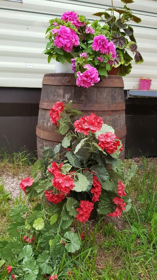 Chill&Grill Camping Daugavpils Eksteriør billede